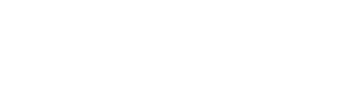 Logo BDSM Schule